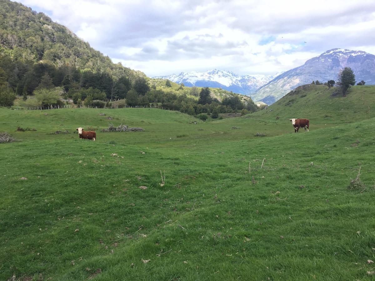 Turismo Rural Los Alpes Futaleufú Exteriér fotografie